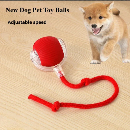 Rechargeable Smart Interactive Rolling Ball Toy for Cats Dogs Pets