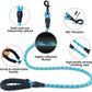 Retractable Pet Luminous Leash