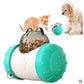 Interactive Pet Treat Dispenser Toy