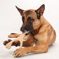 BetterBone MEDIUM Durability CHEW TOY: Perfect Chew for Everyday Chewers | Naturally Derived Ingredients, Eco-Friendly, Non-Toxic