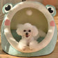 Kawaii Frog Pet Bed Cute Cozy Plush Lounge for Pets