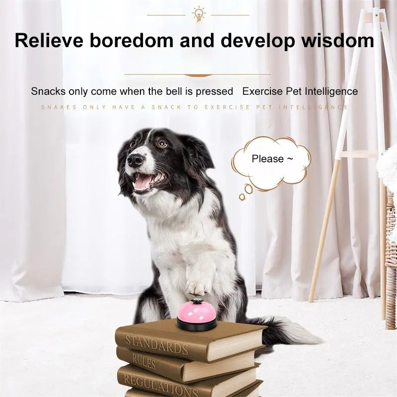Pet Training Dinner Bell Interactive Toy for Dogs and Cats