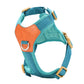 Retro Pet Harness - Adjustable PU Leather & Mesh