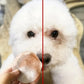 Gentle Pet Eye Wipes for Tear Stains 130 Pcs
