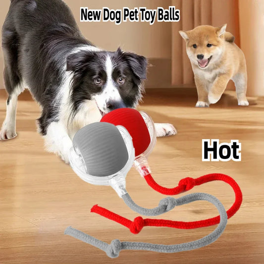 Rechargeable Smart Interactive Rolling Ball Toy for Cats Dogs Pets