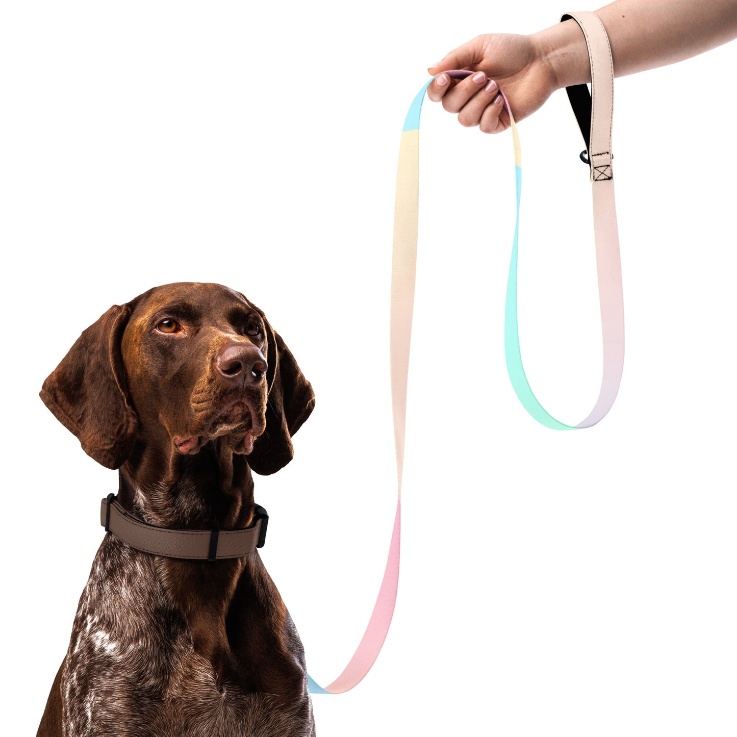 CalmCaressASMR Pet leash