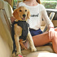 Pet Life Road-To-Safety Pet Dog Car Harness With Detachable Swivel Hook
